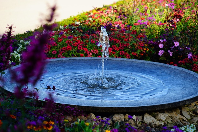 Water Feature Gardens