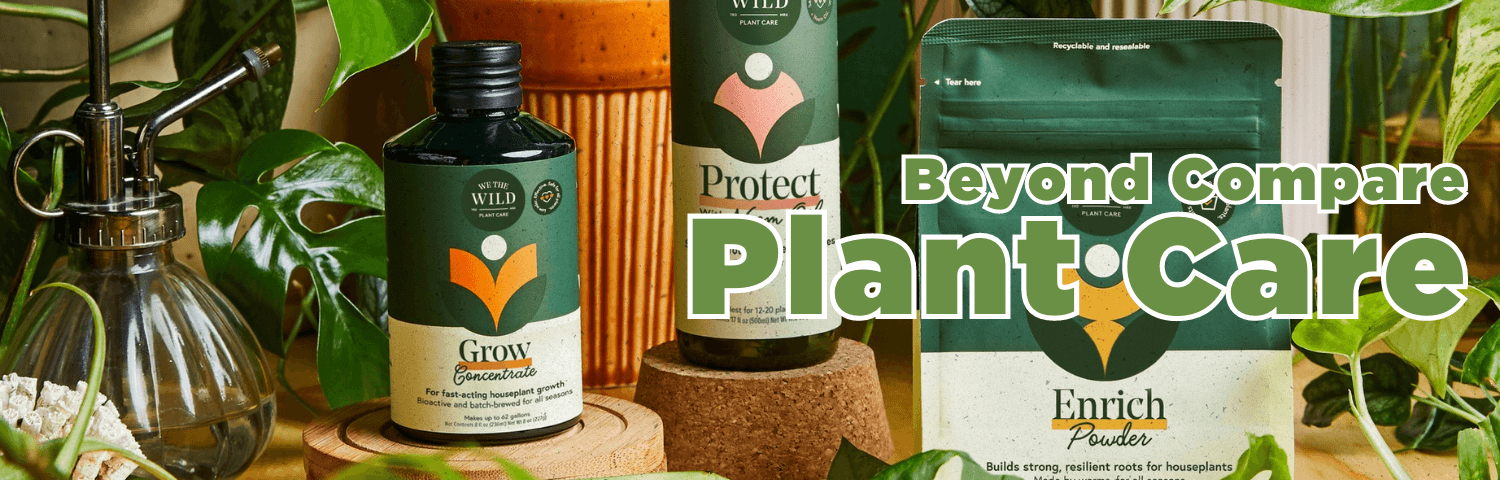 Beyond Compare Plant Care