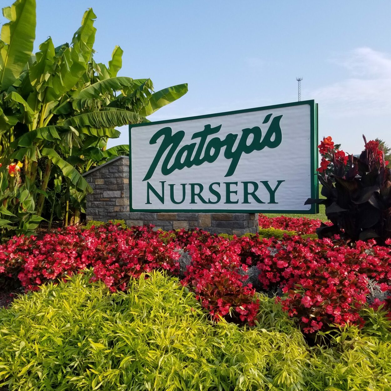 Natorp Nursery