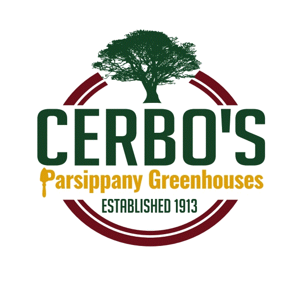 Cerbo's Parsippany Greenhouses