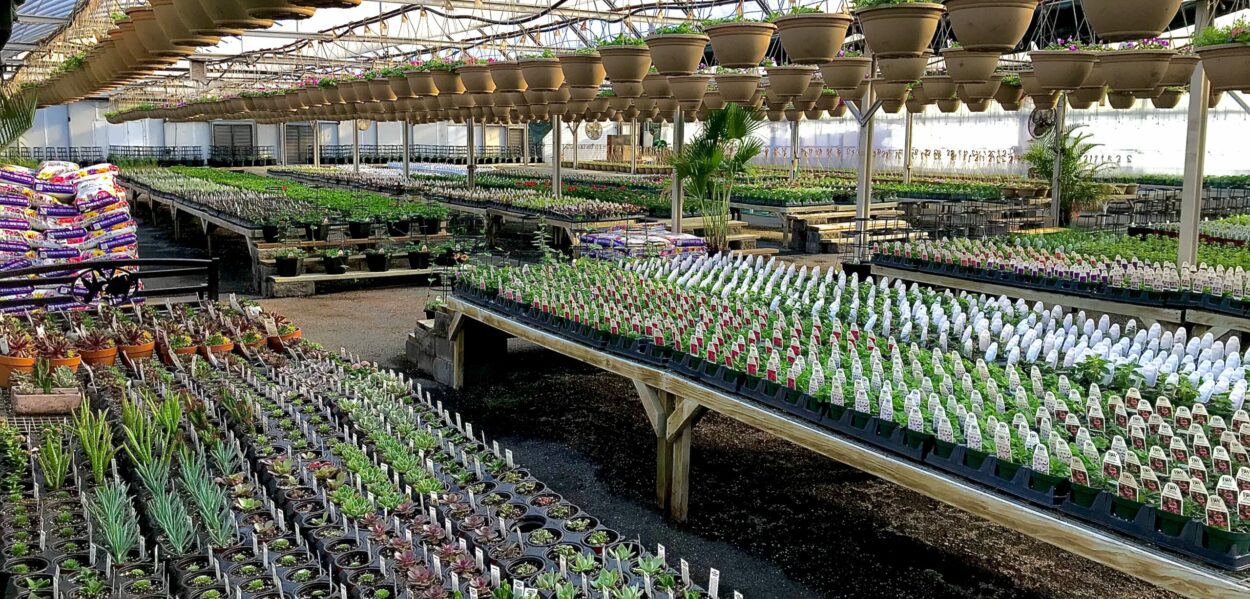 Cerbo's Parsippany Greenhouses