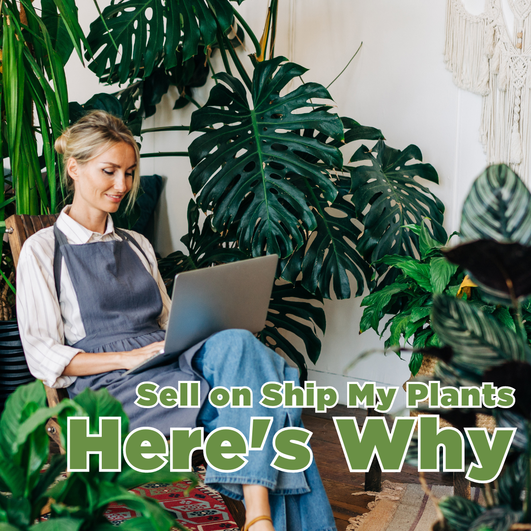 Sell on Ship My Plants, Here's Why