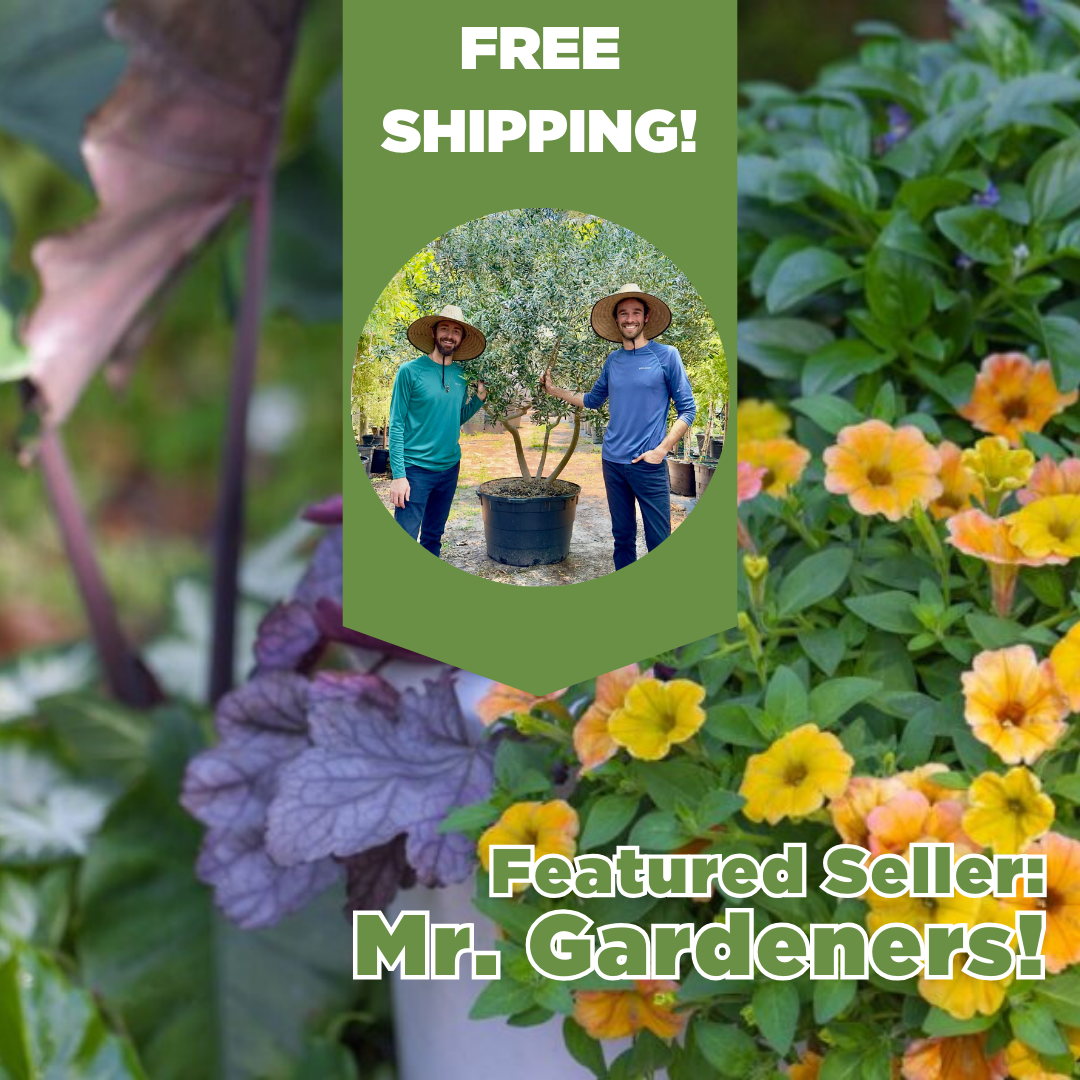 Mr. Gardeners Featured Seller