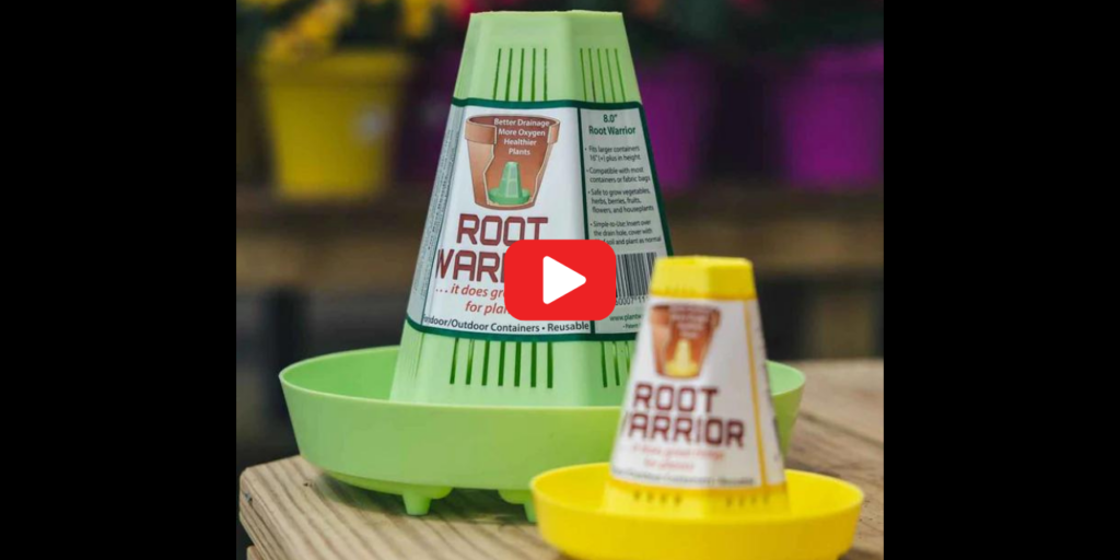 Root Warrior Youtube videa