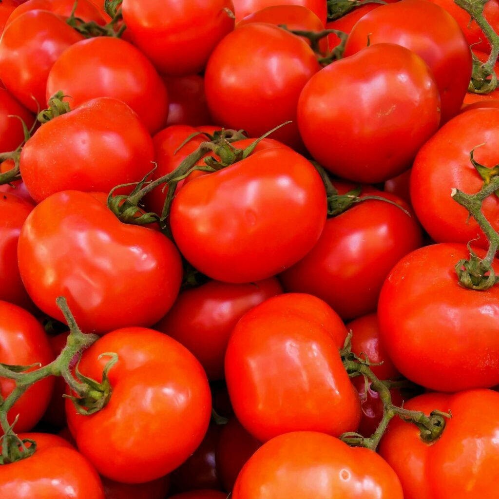 Bright red tomatoes ready to eat